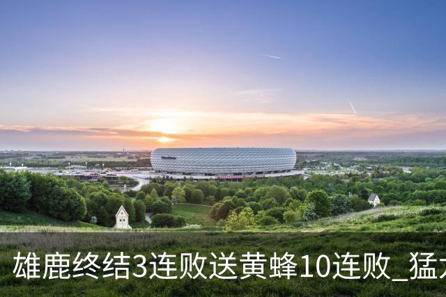 雄鹿终结3连败送黄蜂10连败 猛龙送火箭3连败